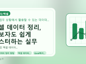엑셀 데이터 정리, 초보자도 쉽게 마스터하는 실무 가이드를 설명하는 대표이미지