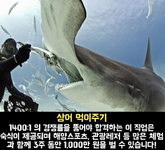 나에게 맞는 일이란? 관련 이미지