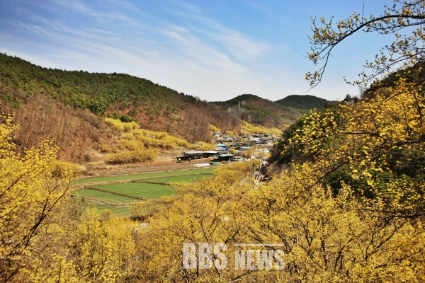 의성군, 2월 정례조회 개최...생성형 AI 활용 전략 모색 관련 이미지