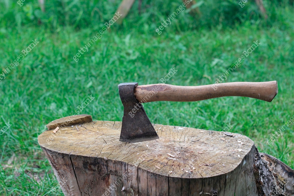 ax in the stump 이미지 (147881966) 관련 이미지