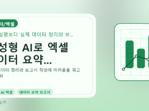생성형 AI로 엑셀 데이터 요약...를 설명하는 대표 이미지