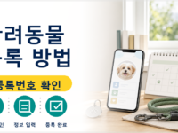 반려동물 등록 방법, 처음 등록할 때 놓치기 쉬운 순서 관련 이미지 1