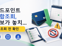 카드포인트 통합조회, 초보가 놓치...를 설명하는 대표 이미지