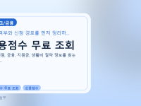 신용점수 무료 조회를 설명하는 대표 이미지