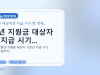 청년 지원금 대상자 및 지급 시기...를 설명하는 대표 이미지