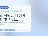 청년 지원금 대상자 조회 및 지급...를 설명하는 대표 이미지