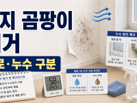 벽지 곰팡이 제거 전 결로와 누수 원인부터 구분하기: 완벽 해결 가이드 관련 이미지 1