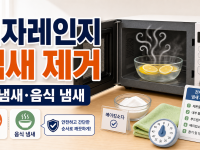 전자레인지 냄새 제거: 탄 냄새와 음식 냄새를 안전하게 빼는 순서 관련 이미지 1
