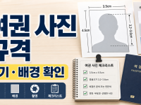 여권 사진 규격: 외교부 기준 크기·배경·촬영 전 확인할 점 관련 이미지 1