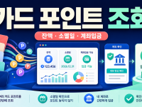 카드 포인트 조회부터 본인 계좌 입금까지 확인하기 관련 이미지 1