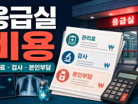 응급실 비용이 달라지는 이유와 진료비 명세서 확인법 관련 이미지 1