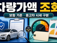 차량가액 조회 방법과 보험개발원 기준·중고차 시세 차이 관련 이미지 1