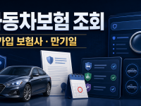 자동차보험 조회 방법: 가입 보험사와 만기일 찾기 관련 이미지 1
